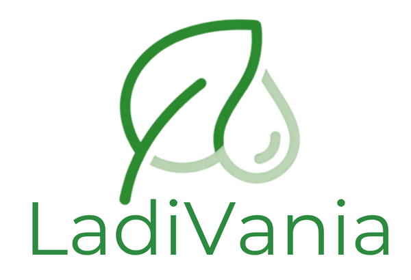 LadiVania Mode